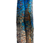 Suze Woolf Thumbnail